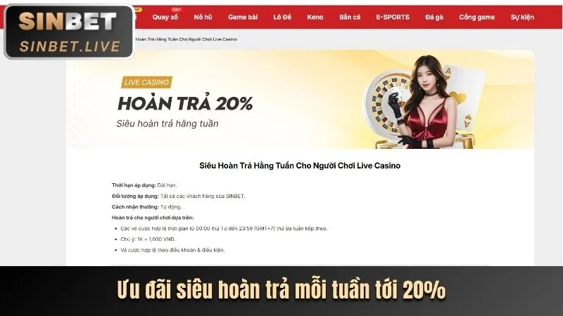 Hướng dẫn cá cược thể thao tại Vin33